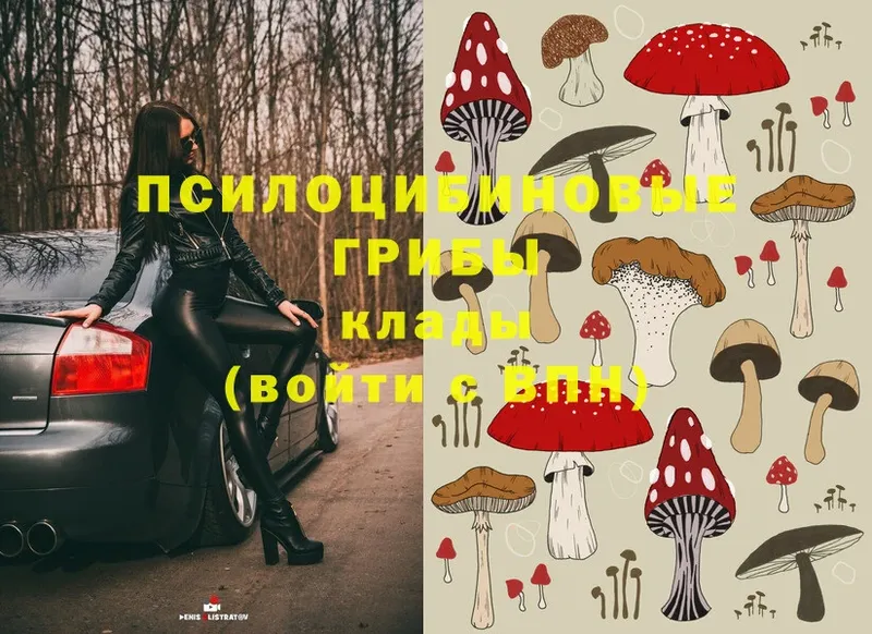 Псилоцибиновые грибы Magic Shrooms  Рубцовск 